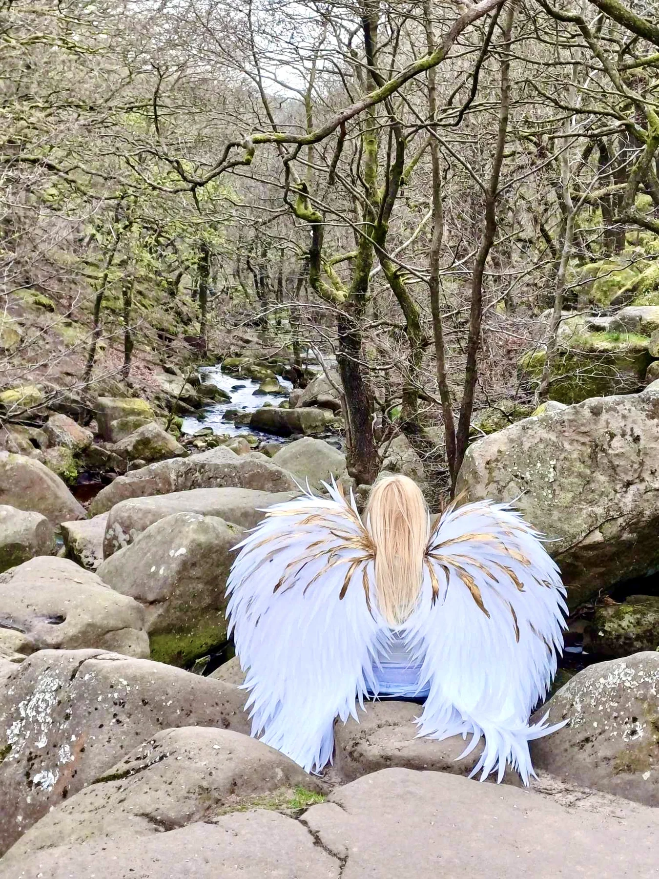 White and gold feather wings in a woodland gorge