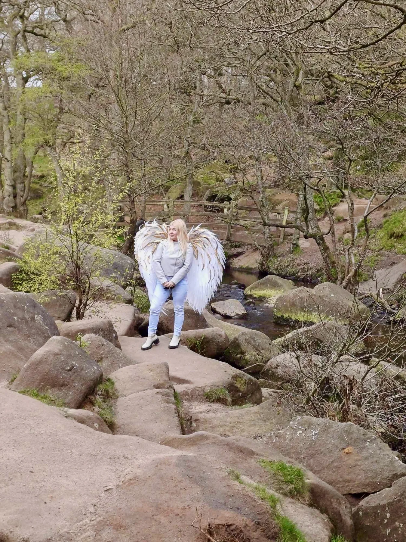 White and gold wings in a wooded landscape