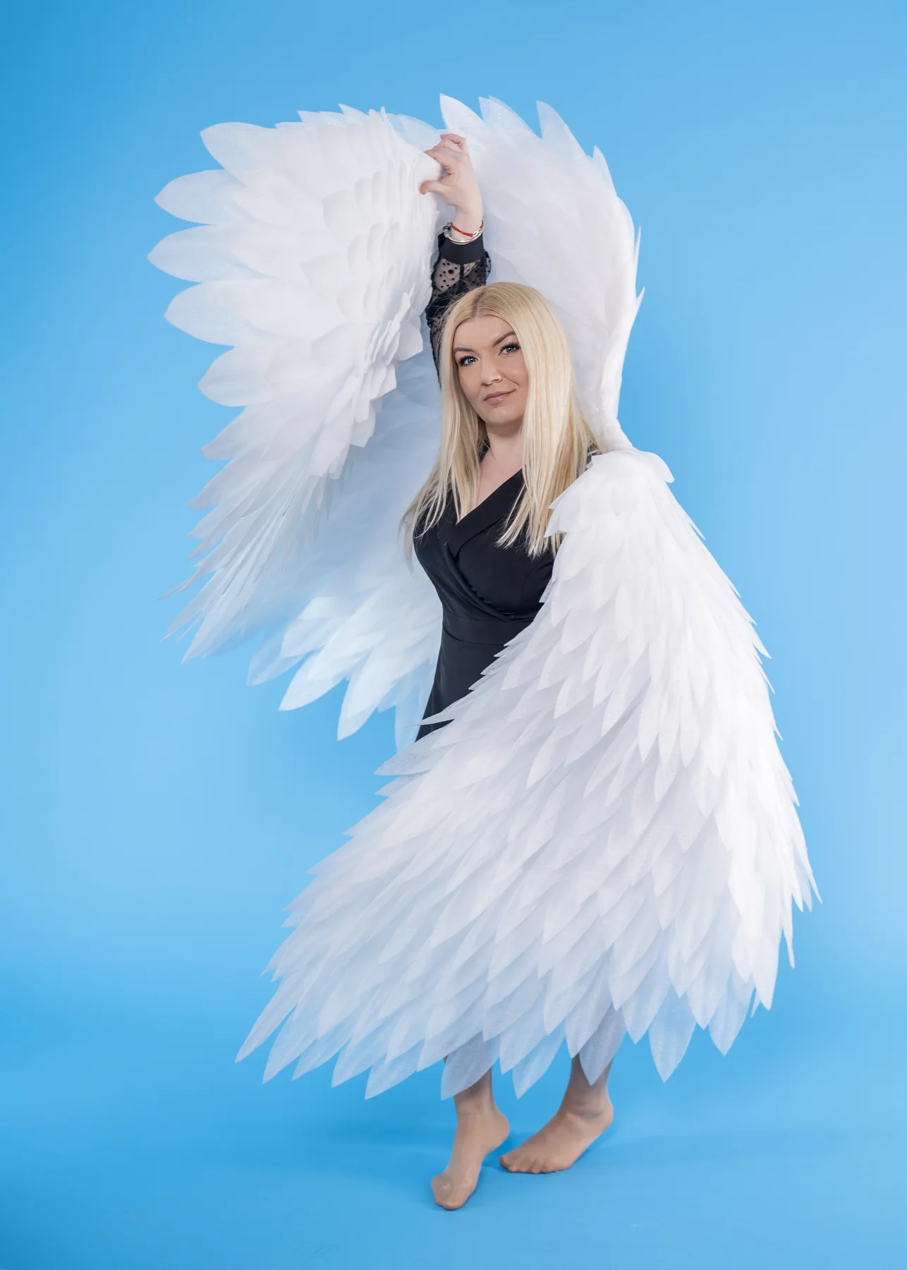 White feather wings in a cyan studio